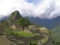 Machu Pichu DSCN1480